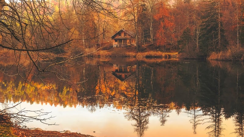 Rustic Cabin